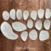 Flora & Fauna (15 designs)